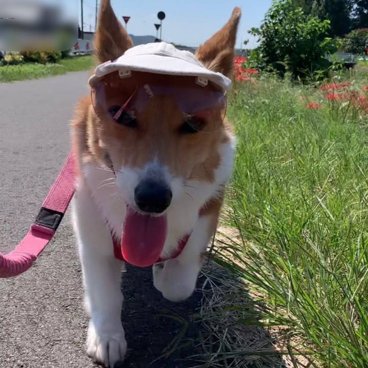 8ace6571 17e7 4840 b09c 2656a0e556e4 1664158531200