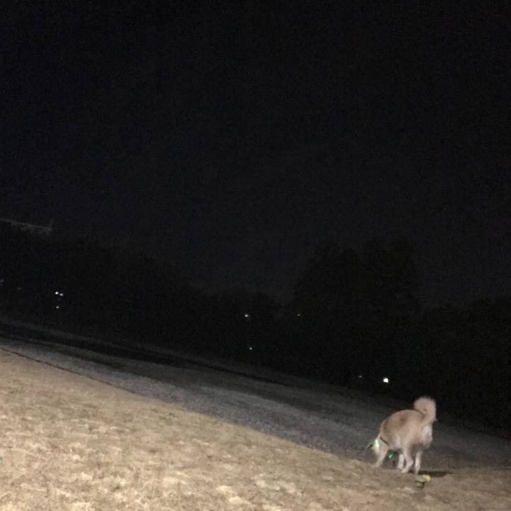 8acec27c b498 4aac 9927 d100b6ca2286 1516713062909