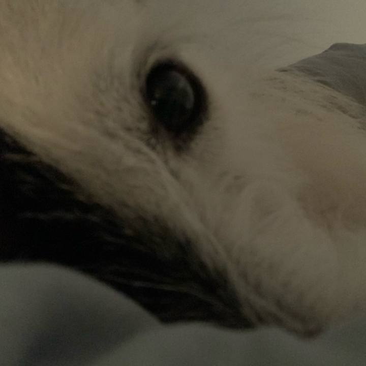 8acec7d5 6452 49db 88b7 3e320aa5861a 1570716645636