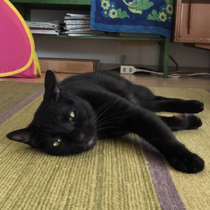 8aced02a b3c8 4571 af69 48a79df78424 1538799096613