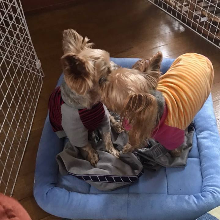 8aceeb12 e114 40f4 acbb b8884a388808 1729592964900