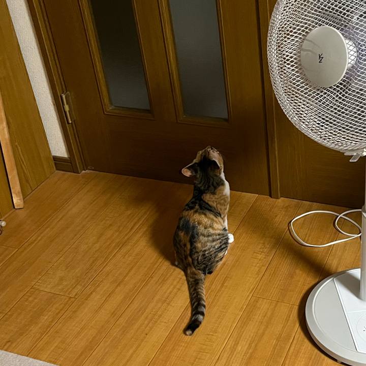 8acf4d4e 7a60 4a3c 85f9 e7acf55d9f1f 1659535651109