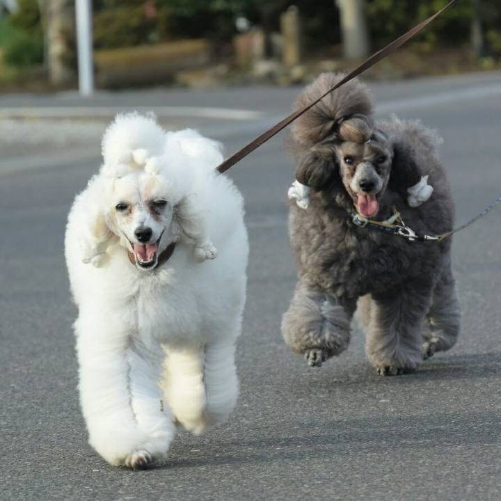 8acf6132 9e49 46d5 a330 c223cc81cc00 1530192790237