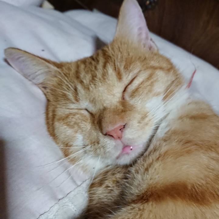 8acf768e aac6 44ab ad7f a4e72e343e1a 1569847438331