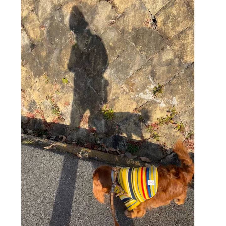 8acf9a9d d4d6 4895 bac1 95b17cb8d0f7 1675556323373