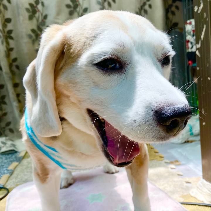 8acf9dde a83a 4131 95e4 7590a86e2ae0 1658719280792