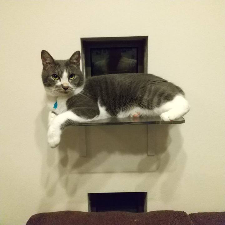 8acfb9f8 aea2 489c b21a d8a4cb23ef8a 1625747378133