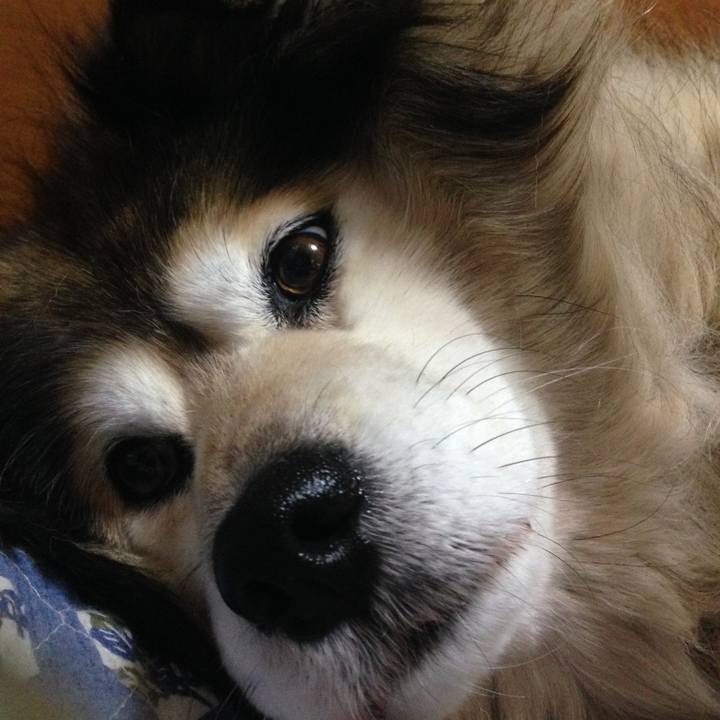 8acfdd83 3e85 4d2b a162 2d8c21d645fa 1607692365869