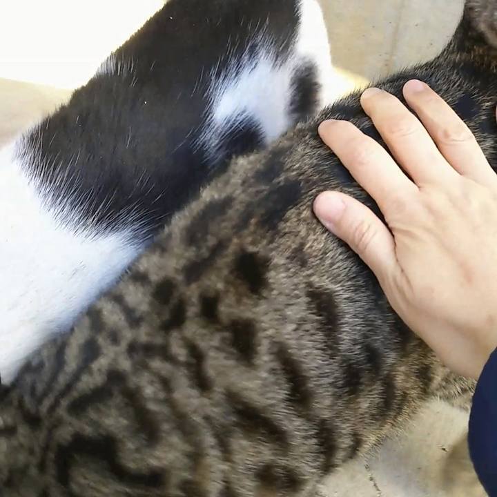 8acff070 bfa8 42dd 9089 08851132b9fd 1554856704954