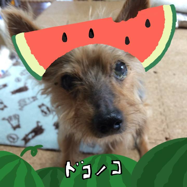 8acff1da 18d0 4559 9c5a 1d7a4593f8e5 1720763184841