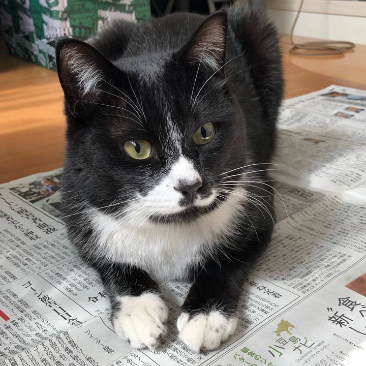 8ad02b33 2467 47e8 b226 0b8a57312d41 1555214390750