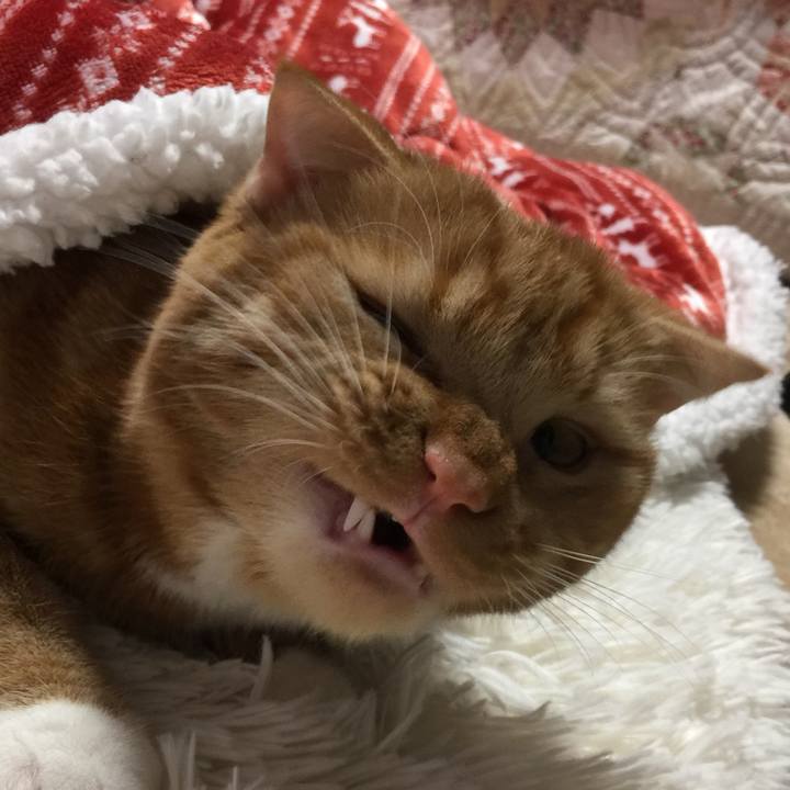 8ad0416e a34d 440e 899f 5d934e60e048 1519457025120