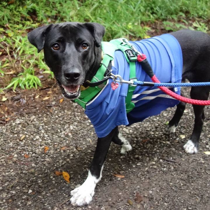 8ad04772 6012 4172 868e 0de9e496b4ee 1592870300595