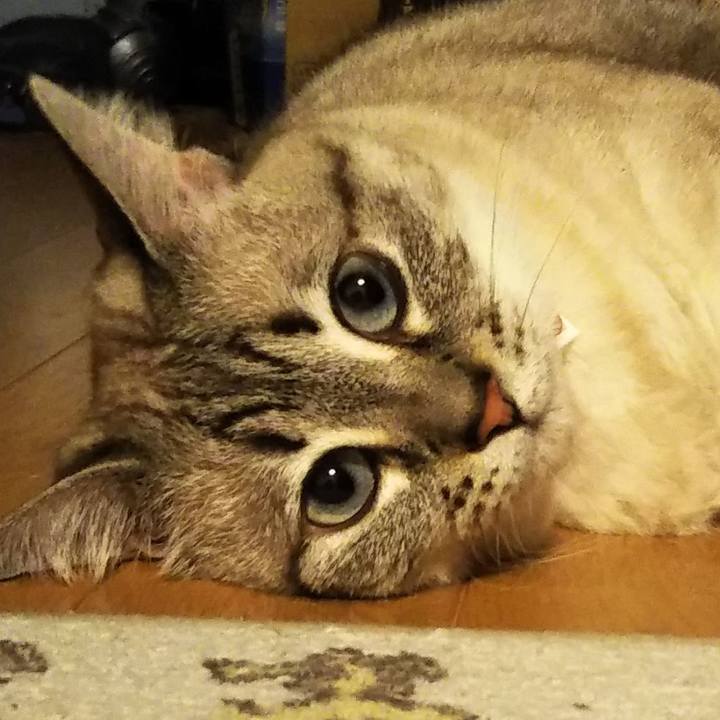 8ad055d4 a646 4627 9475 e207d88b4fcc 1599905469605