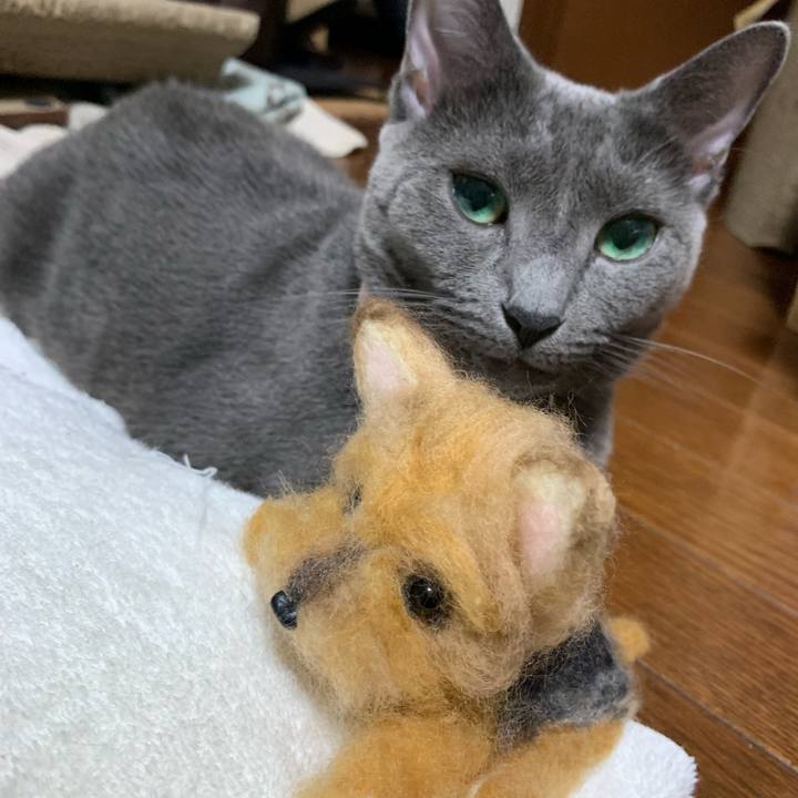 8ad096c1 424a 46cf bb85 22eaf3b75572 1568187250020