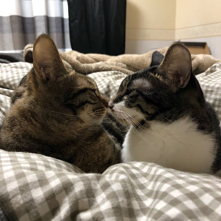 8ad0aa97 a819 4105 87fb 4586646019f4 1544040609005