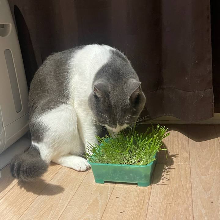 8ad0ac57 4cc4 4bc2 9e34 42e4157db1f0 1629712973406