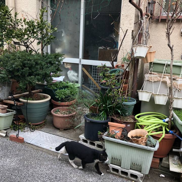 8ad0c52b b37c 4a85 affc ace16f52645a 1552685536424