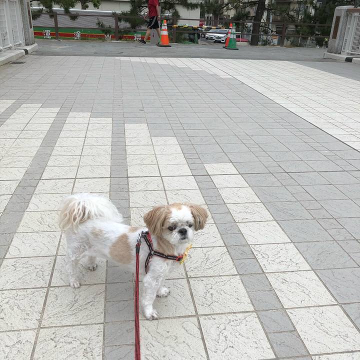 8ad100b7 c298 478a 9b3e 68aa6c9cc1fb 1622584102812