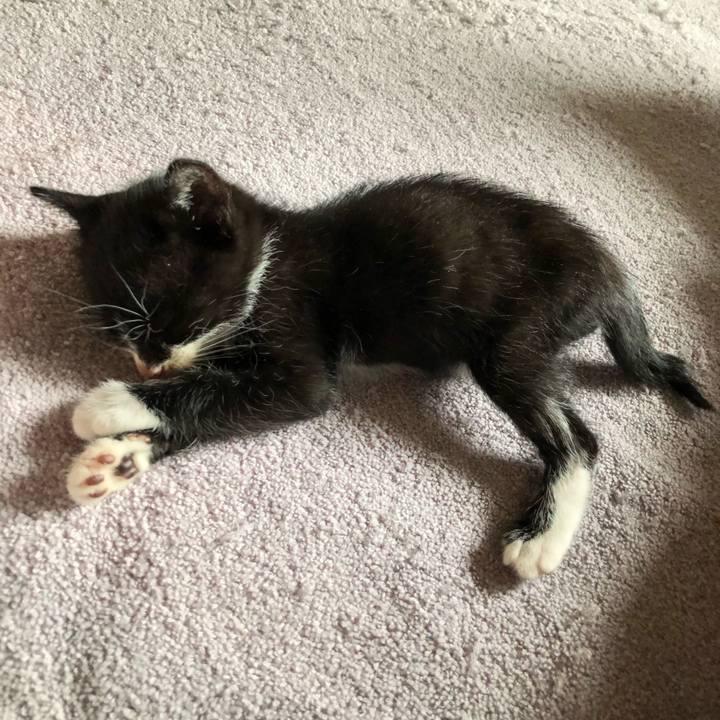 8ad13589 0b12 47f4 ae40 ae99a81cdddd 1536852552571