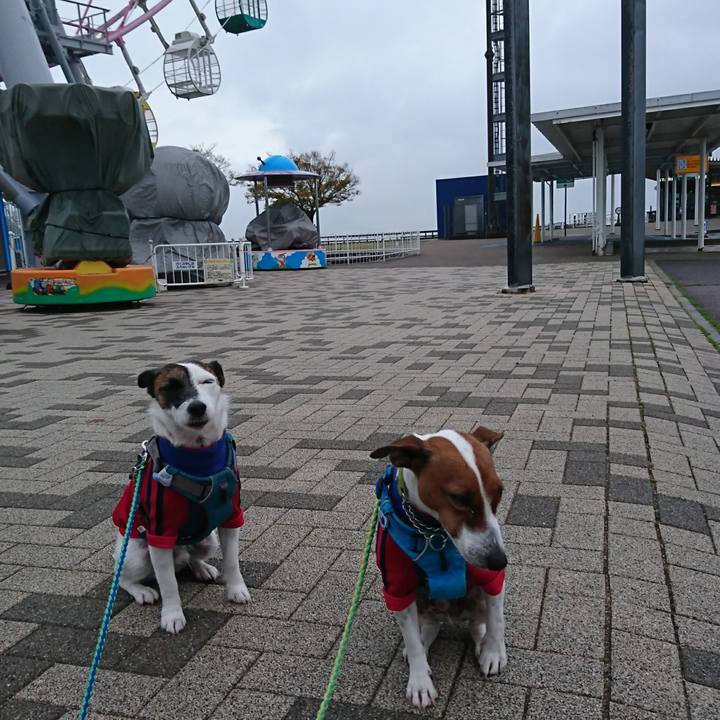 8ad140f3 ef7f 46d0 bd6c f10062b1ebe1 1605824846615