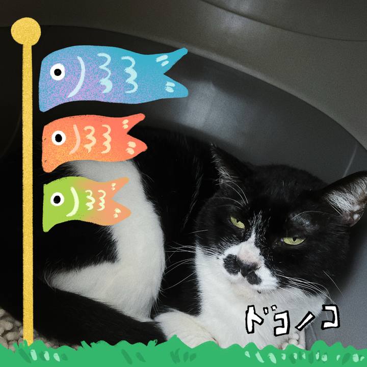 8ad18eae 5221 4889 80bd c032b1146041 1714953816531