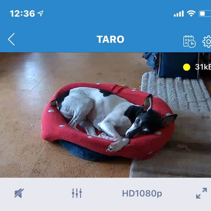 8ad19114 4fdd 4074 9a18 09b6945208ce 1573702910314