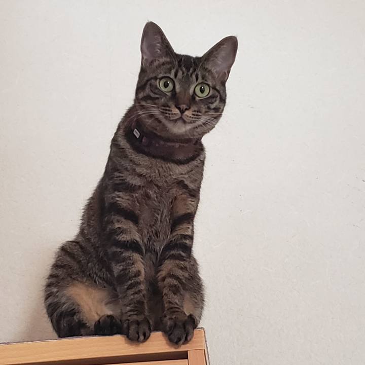 8ad1cd51 beb6 4fd6 9700 8bb3e8fe9033 1561165851520