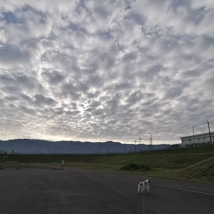 8ad22746 28c4 4e94 8f31 f11e3f43e6e3 1616549717712