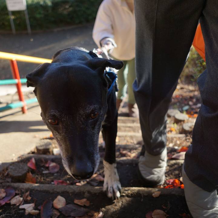 8ad22a0b f0b6 4904 a3fa b1879e89c5d2 1762906621724