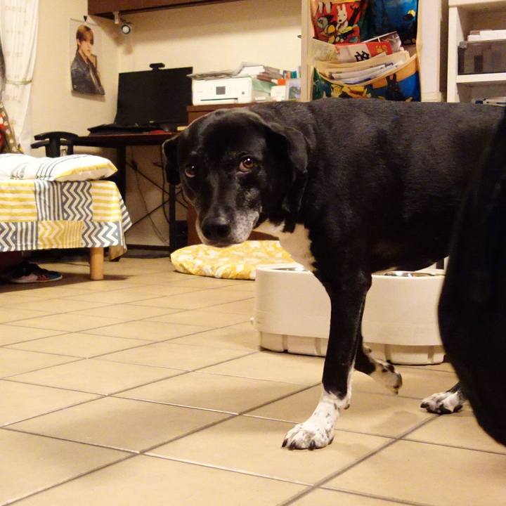 8ad26702 7307 4d8d 82ec bf6b03636844 1739113612533