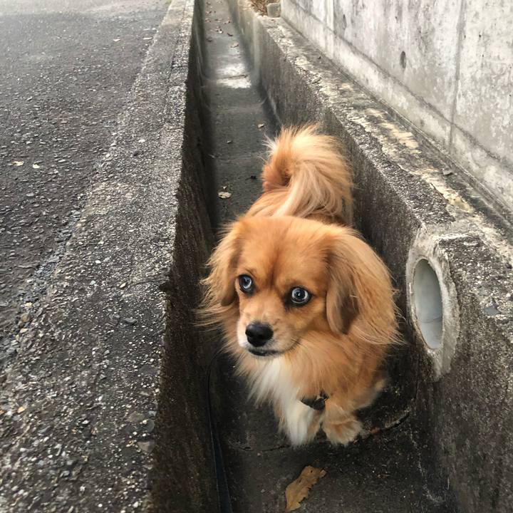 8ad29af9 aa6d 4bc8 90d6 2af55b4dd0b3 1542404312385