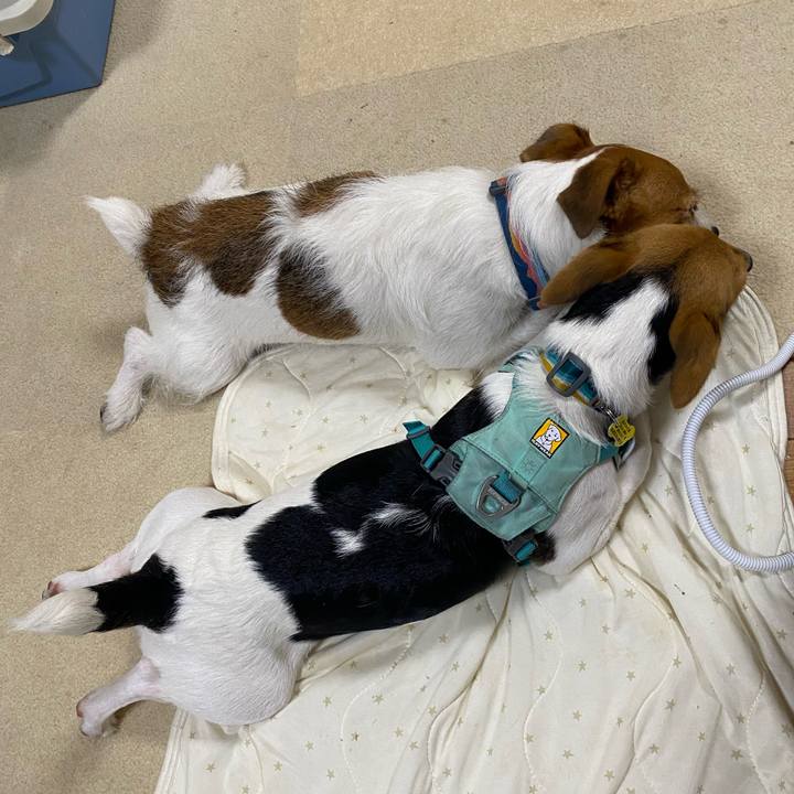 8ad2a9ba 048f 4c91 b6ae 5a35f5d1ca07 1755092051478