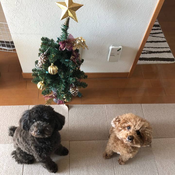 8ad2ee46 d21e 4d53 8bb9 7085c3b1f7de 1577180535401