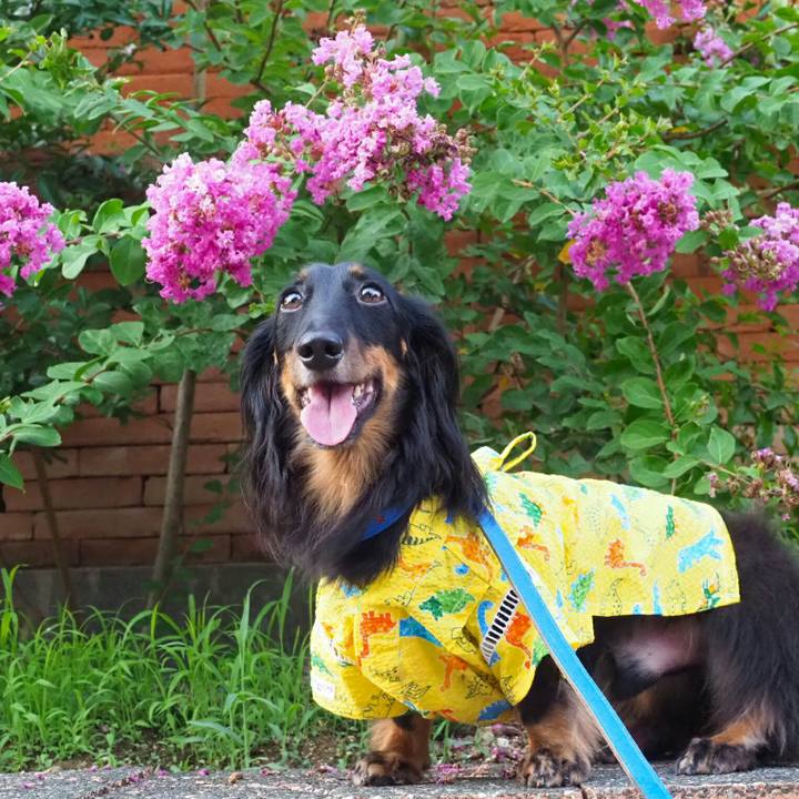 8ad358ba 5eff 4493 8b5e 4db2794b11b8 1534209005796