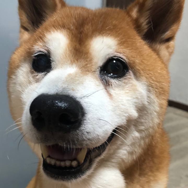 8ad3655c a238 44f1 9265 93064bfae3ef 1567774289718