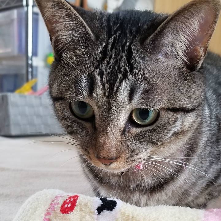 8ad39080 5ce0 46b3 9870 46993c0e08ea 1688078777681