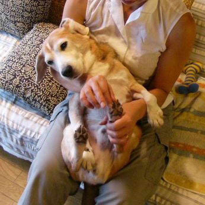 8ad3c8cd 2938 491b a10a 10e9cd47e285 1667783163192