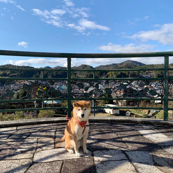 8ad3cf05 1133 43f7 b593 60be0d6b6c23 1575630417778