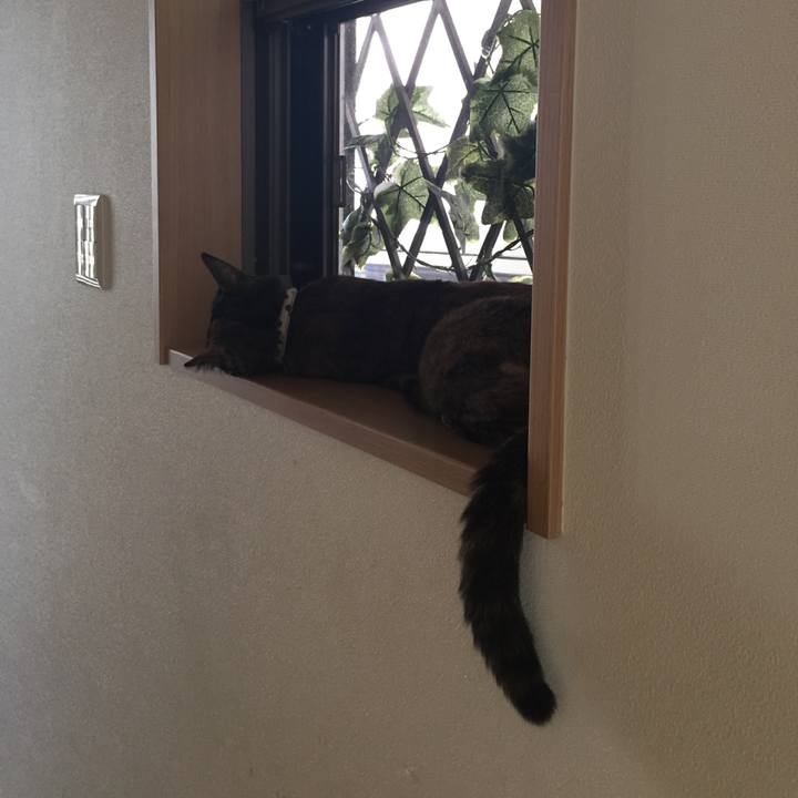 8ad427dc 15f8 4f4f 8014 268613b546f4 1534827222504