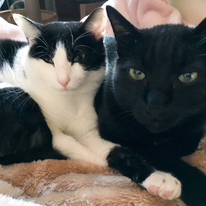 8ad46d36 5c1a 4468 b51d 175a06878a90 1511880367232