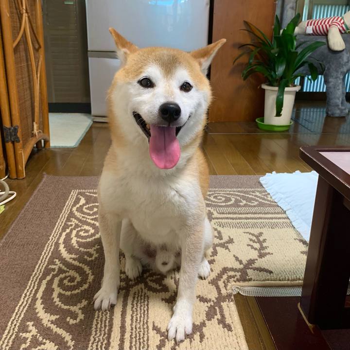 8ad49322 ad1f 4f40 97a5 d41d699a9382 1691656304926