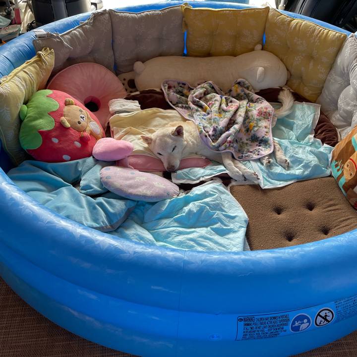 8ad4a21f 2a93 4b2e ab70 250290c76013 1678676072864