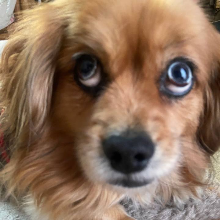 8ad4b078 656d 49b4 8b55 535421ba456b 1675376811739