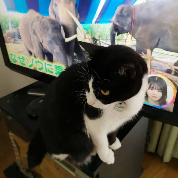 8ad4b31b 6711 40e6 a3d7 cdf439fa7952 1665723044206