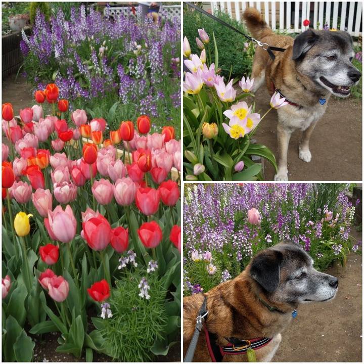 8ad4ca13 bc6c 4a27 b2ac cdbb51e0f4e8 1554599092152