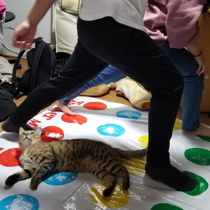 8ad4d4a5 1fe4 4240 92c7 9c3d710818d0 1619101433758