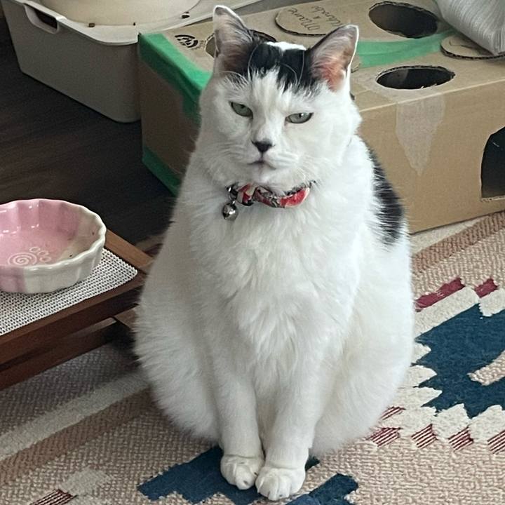 8ad4d67f ef4f 4052 bf4d 561a1ada9845 1766100872265