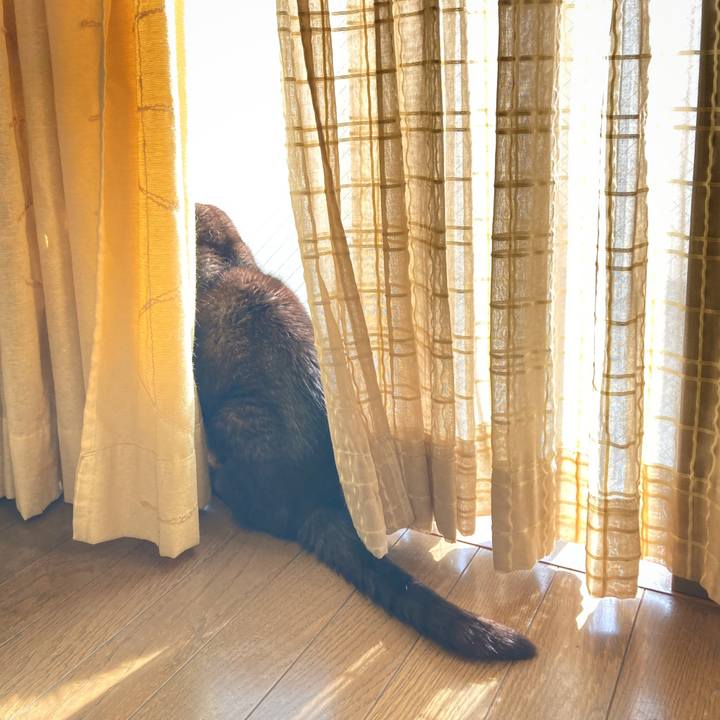 8ad4da96 2485 432d b93b a37eb115c87f 1641271582586