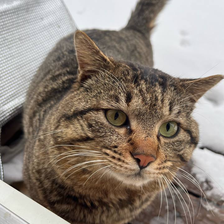 8ad4fc35 7a2d 4283 85c1 00cf349f4b84 1745962508242